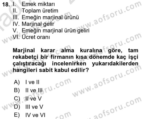 Çalışma Ekonomisi 1 Dersi 2021 - 2022 Yılı (Vize) Ara Sınav Soruları 18. Soru