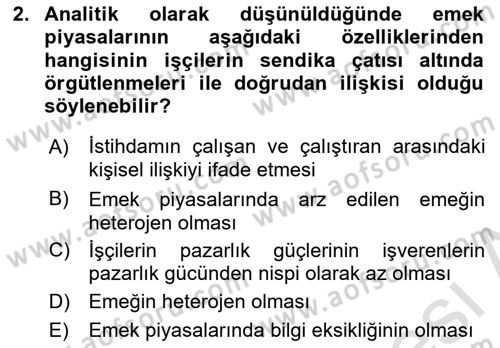 Çalışma Ekonomisi 1 Dersi 2021 - 2022 Yılı (Vize) Ara Sınav Soruları 2. Soru