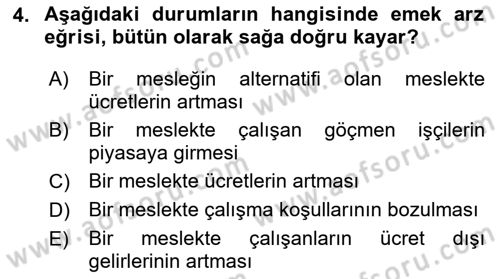 Çalışma Ekonomisi 1 Dersi 2021 - 2022 Yılı (Vize) Ara Sınav Soruları 4. Soru