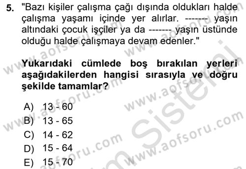 Çalışma Ekonomisi 1 Dersi 2021 - 2022 Yılı (Vize) Ara Sınav Soruları 5. Soru