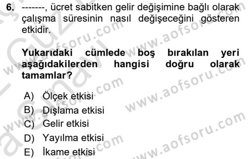 Çalışma Ekonomisi 1 Dersi 2021 - 2022 Yılı (Vize) Ara Sınav Soruları 6. Soru