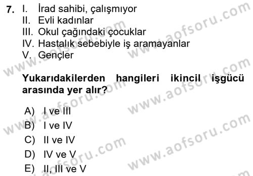 Çalışma Ekonomisi 1 Dersi 2021 - 2022 Yılı (Vize) Ara Sınav Soruları 7. Soru