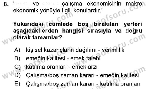 Çalışma Ekonomisi 1 Dersi 2021 - 2022 Yılı (Vize) Ara Sınav Soruları 8. Soru