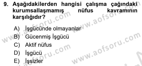 Çalışma Ekonomisi 1 Dersi 2021 - 2022 Yılı (Vize) Ara Sınav Soruları 9. Soru