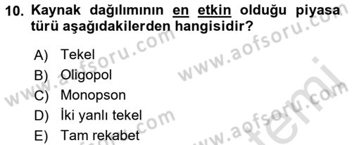 Çalışma Ekonomisi 1 Dersi 2021 - 2022 Yılı (Final) Dönem Sonu Sınav Soruları 10. Soru