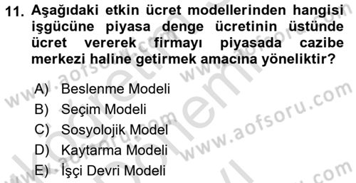 Çalışma Ekonomisi 1 Dersi 2021 - 2022 Yılı (Final) Dönem Sonu Sınav Soruları 11. Soru