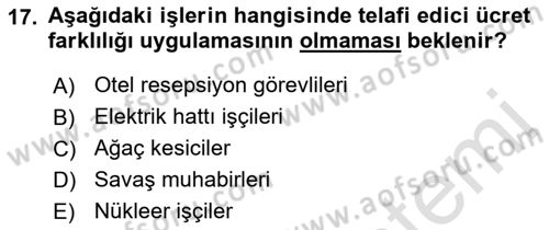 Çalışma Ekonomisi 1 Dersi 2021 - 2022 Yılı (Final) Dönem Sonu Sınav Soruları 17. Soru