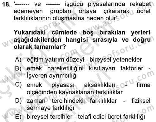 Çalışma Ekonomisi 1 Dersi 2021 - 2022 Yılı (Final) Dönem Sonu Sınav Soruları 18. Soru