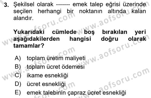 Çalışma Ekonomisi 1 Dersi 2021 - 2022 Yılı (Final) Dönem Sonu Sınav Soruları 3. Soru