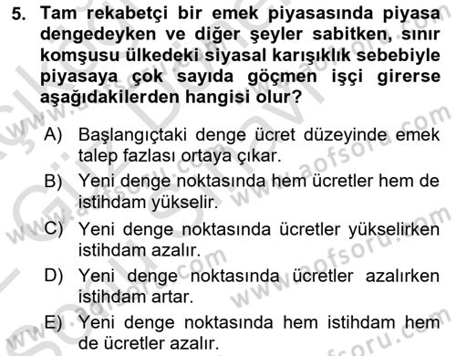 Çalışma Ekonomisi 1 Dersi 2021 - 2022 Yılı (Final) Dönem Sonu Sınav Soruları 5. Soru