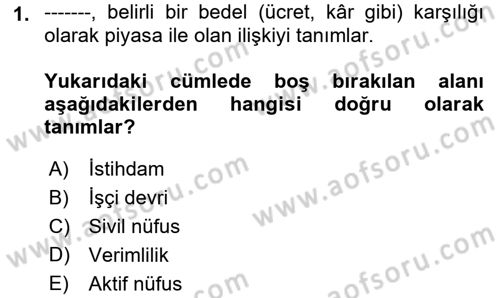 Çalışma Ekonomisi 1 Dersi 2021 - 2022 Yılı Yaz Okulu Sınav Soruları 1. Soru