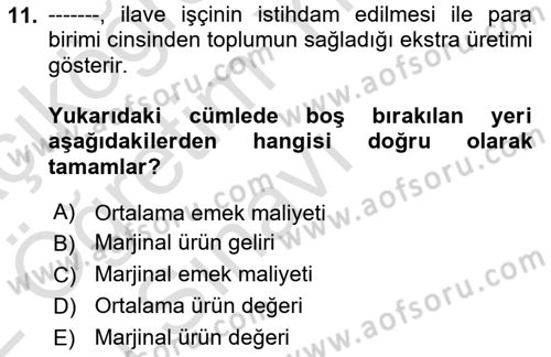 Çalışma Ekonomisi 1 Dersi 2021 - 2022 Yılı Yaz Okulu Sınav Soruları 11. Soru