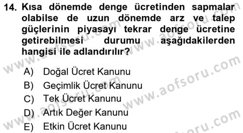 Çalışma Ekonomisi 1 Dersi 2021 - 2022 Yılı Yaz Okulu Sınav Soruları 14. Soru