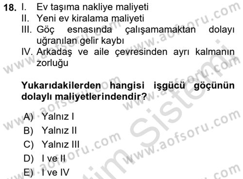 Çalışma Ekonomisi 1 Dersi 2021 - 2022 Yılı Yaz Okulu Sınav Soruları 18. Soru