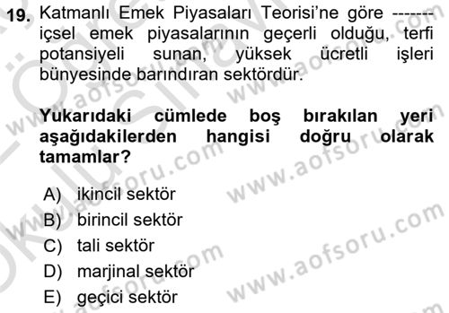 Çalışma Ekonomisi 1 Dersi 2021 - 2022 Yılı Yaz Okulu Sınav Soruları 19. Soru