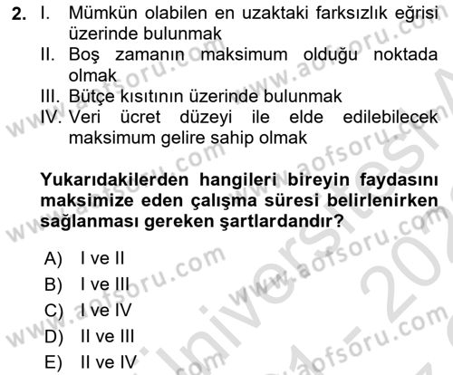 Çalışma Ekonomisi 1 Dersi 2021 - 2022 Yılı Yaz Okulu Sınav Soruları 2. Soru