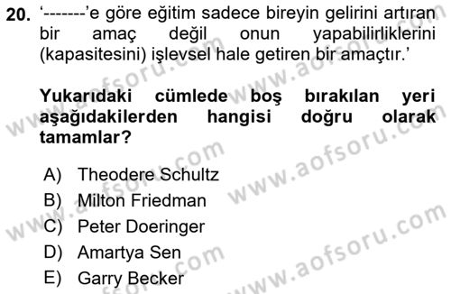 Çalışma Ekonomisi 1 Dersi 2021 - 2022 Yılı Yaz Okulu Sınav Soruları 20. Soru