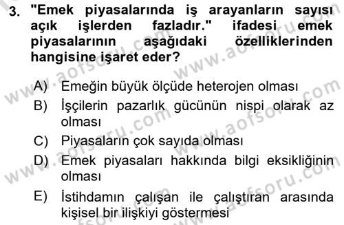 Çalışma Ekonomisi 1 Dersi 2021 - 2022 Yılı Yaz Okulu Sınav Soruları 3. Soru