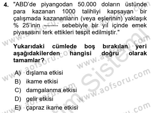 Çalışma Ekonomisi 1 Dersi 2021 - 2022 Yılı Yaz Okulu Sınav Soruları 4. Soru