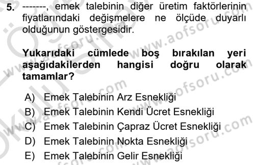 Çalışma Ekonomisi 1 Dersi 2021 - 2022 Yılı Yaz Okulu Sınav Soruları 5. Soru