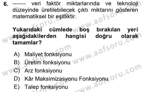 Çalışma Ekonomisi 1 Dersi 2021 - 2022 Yılı Yaz Okulu Sınav Soruları 6. Soru