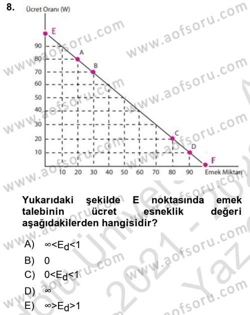 Çalışma Ekonomisi 1 Dersi 2021 - 2022 Yılı Yaz Okulu Sınav Soruları 8. Soru