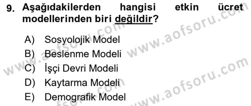 Çalışma Ekonomisi 1 Dersi 2021 - 2022 Yılı Yaz Okulu Sınav Soruları 9. Soru