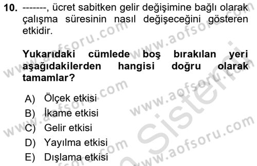 Çalışma Ekonomisi 1 Dersi 2022 - 2023 Yılı (Vize) Ara Sınav Soruları 10. Soru