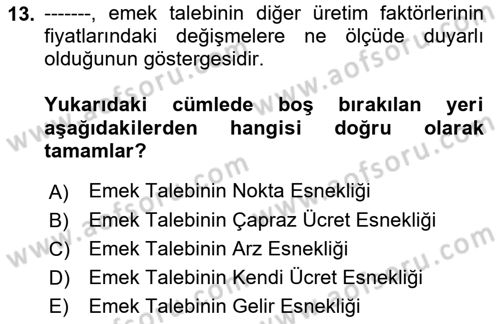 Çalışma Ekonomisi 1 Dersi 2022 - 2023 Yılı (Vize) Ara Sınav Soruları 13. Soru