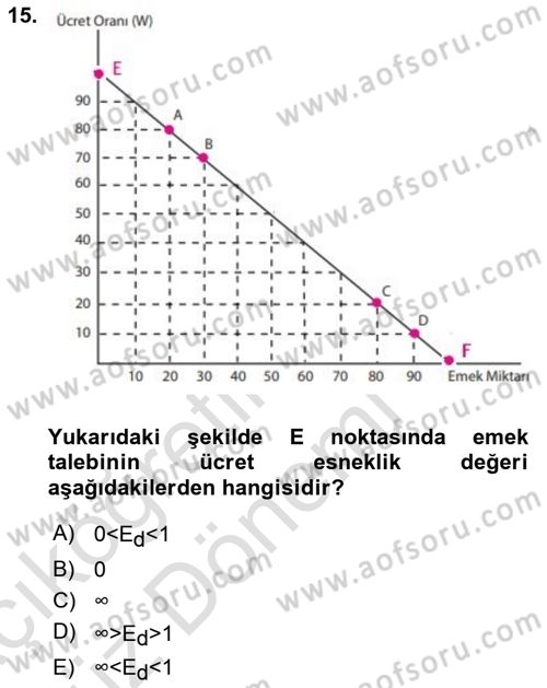 Çalışma Ekonomisi 1 Dersi 2022 - 2023 Yılı (Vize) Ara Sınav Soruları 15. Soru