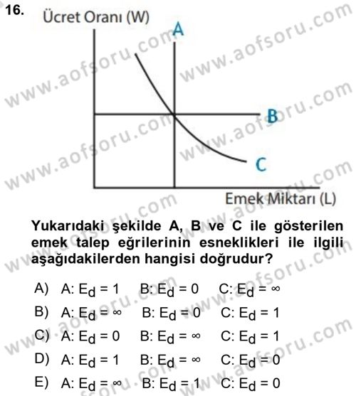Çalışma Ekonomisi 1 Dersi 2022 - 2023 Yılı (Vize) Ara Sınav Soruları 16. Soru
