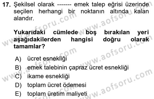 Çalışma Ekonomisi 1 Dersi 2022 - 2023 Yılı (Vize) Ara Sınav Soruları 17. Soru