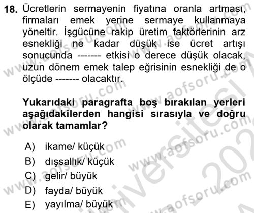 Çalışma Ekonomisi 1 Dersi 2022 - 2023 Yılı (Vize) Ara Sınav Soruları 18. Soru