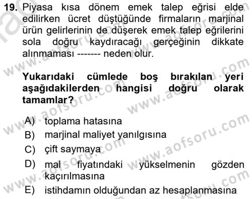 Çalışma Ekonomisi 1 Dersi 2022 - 2023 Yılı (Vize) Ara Sınav Soruları 19. Soru