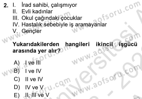 Çalışma Ekonomisi 1 Dersi 2022 - 2023 Yılı (Vize) Ara Sınav Soruları 2. Soru