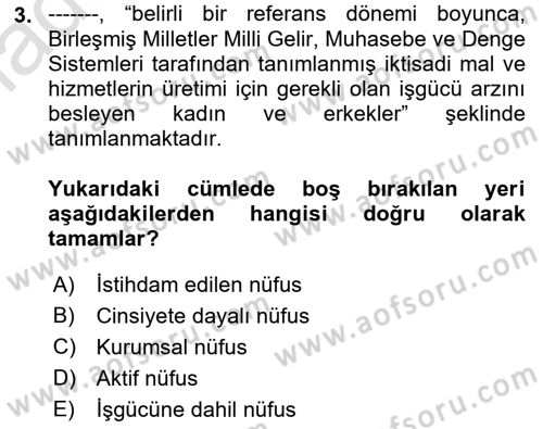 Çalışma Ekonomisi 1 Dersi 2022 - 2023 Yılı (Vize) Ara Sınav Soruları 3. Soru