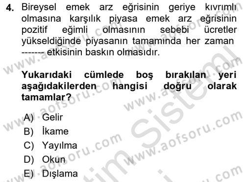 Çalışma Ekonomisi 1 Dersi 2022 - 2023 Yılı (Vize) Ara Sınav Soruları 4. Soru