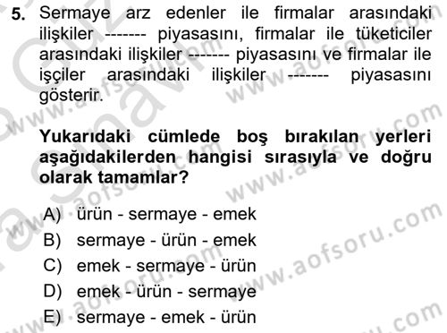 Çalışma Ekonomisi 1 Dersi 2022 - 2023 Yılı (Vize) Ara Sınav Soruları 5. Soru