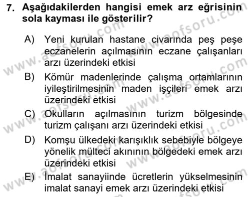 Çalışma Ekonomisi 1 Dersi 2022 - 2023 Yılı (Vize) Ara Sınav Soruları 7. Soru