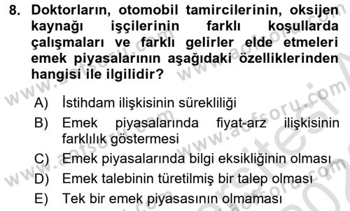 Çalışma Ekonomisi 1 Dersi 2022 - 2023 Yılı (Vize) Ara Sınav Soruları 8. Soru