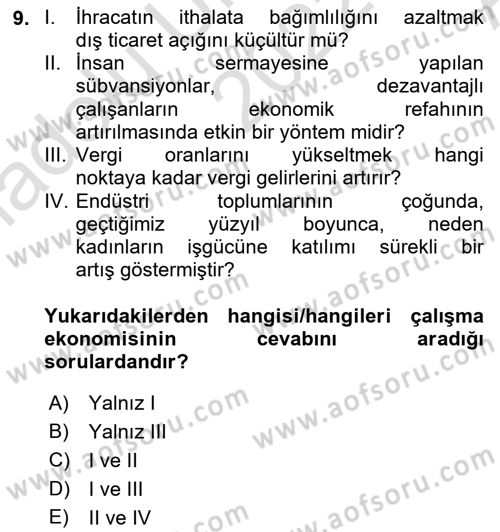 Çalışma Ekonomisi 1 Dersi 2022 - 2023 Yılı (Vize) Ara Sınav Soruları 9. Soru
