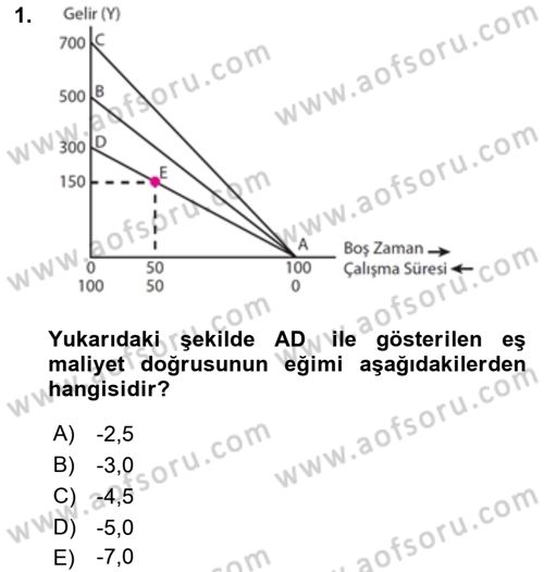 Çalışma Ekonomisi 1 Dersi 2022 - 2023 Yılı (Final) Dönem Sonu Sınav Soruları 1. Soru