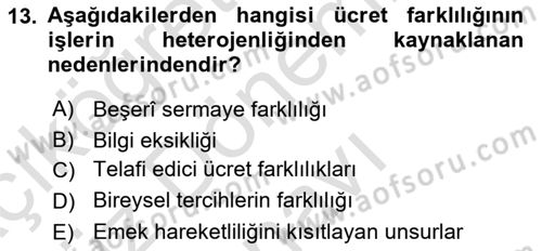 Çalışma Ekonomisi 1 Dersi 2022 - 2023 Yılı (Final) Dönem Sonu Sınav Soruları 13. Soru