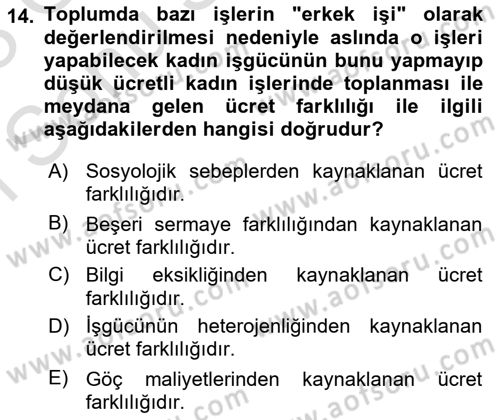 Çalışma Ekonomisi 1 Dersi 2022 - 2023 Yılı (Final) Dönem Sonu Sınav Soruları 14. Soru