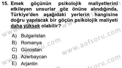 Çalışma Ekonomisi 1 Dersi 2022 - 2023 Yılı (Final) Dönem Sonu Sınav Soruları 15. Soru