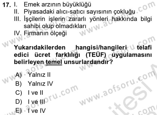 Çalışma Ekonomisi 1 Dersi 2022 - 2023 Yılı (Final) Dönem Sonu Sınav Soruları 17. Soru