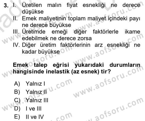 Çalışma Ekonomisi 1 Dersi 2022 - 2023 Yılı (Final) Dönem Sonu Sınav Soruları 3. Soru