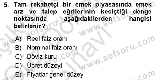 Çalışma Ekonomisi 1 Dersi 2022 - 2023 Yılı (Final) Dönem Sonu Sınav Soruları 5. Soru