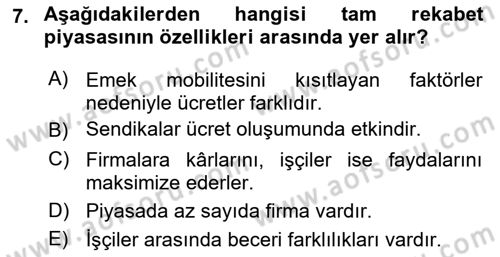 Çalışma Ekonomisi 1 Dersi 2022 - 2023 Yılı (Final) Dönem Sonu Sınav Soruları 7. Soru