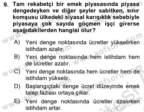 Çalışma Ekonomisi 1 Dersi 2022 - 2023 Yılı (Final) Dönem Sonu Sınav Soruları 9. Soru